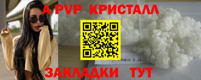 молекула духа Кингисепп