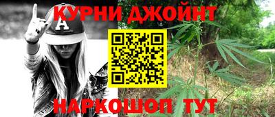 молекула духа Кингисепп