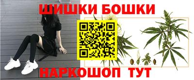 молекула духа Кингисепп