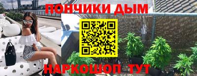 молекула духа Кингисепп